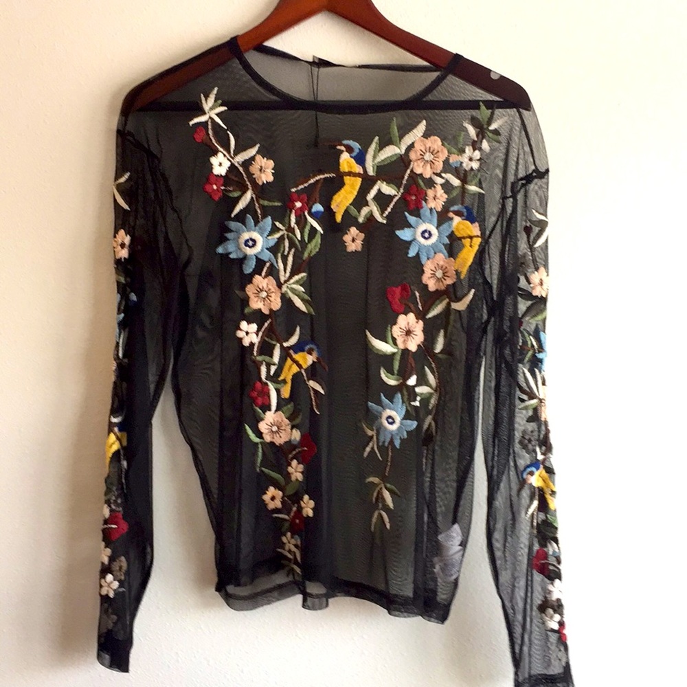 Zara embroidered Sheer Black Blouse